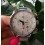 Часы Officina Del Tempo OT1033-112A