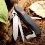 Складной нож Victorinox Forester 0.8363.3 - изображение 4