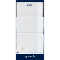 Мужские носовые платки Guasch Inicial 3 шт.