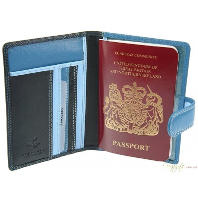 Обложка для паспорта Visconti RB75 - Sumba blue multi