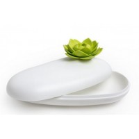 Многофункциональная шкатулка Lotus Pebble Box Qualy бело-зеленая