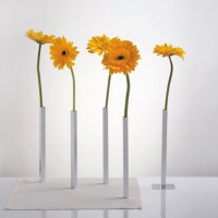 Набор магнитных ваз Magnetic Vase Peleg Design Серебристый