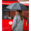 Женский зонт-трость Fulton Bloomsbury-2 L754 - Lynx - изображение 6