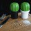 Мельница для соли или перца Tasty Cactus Qualy Бело-зеленая - изображение 3