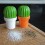 Мельница для соли или перца Tasty Cactus Qualy оранжево-зеленая - изображение 5