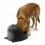 Миска для собак с крышкой Mr.Dog Qualy Черная - изображение 2