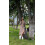Льняное платье Аида Season бежевого цвета - изображение 6
